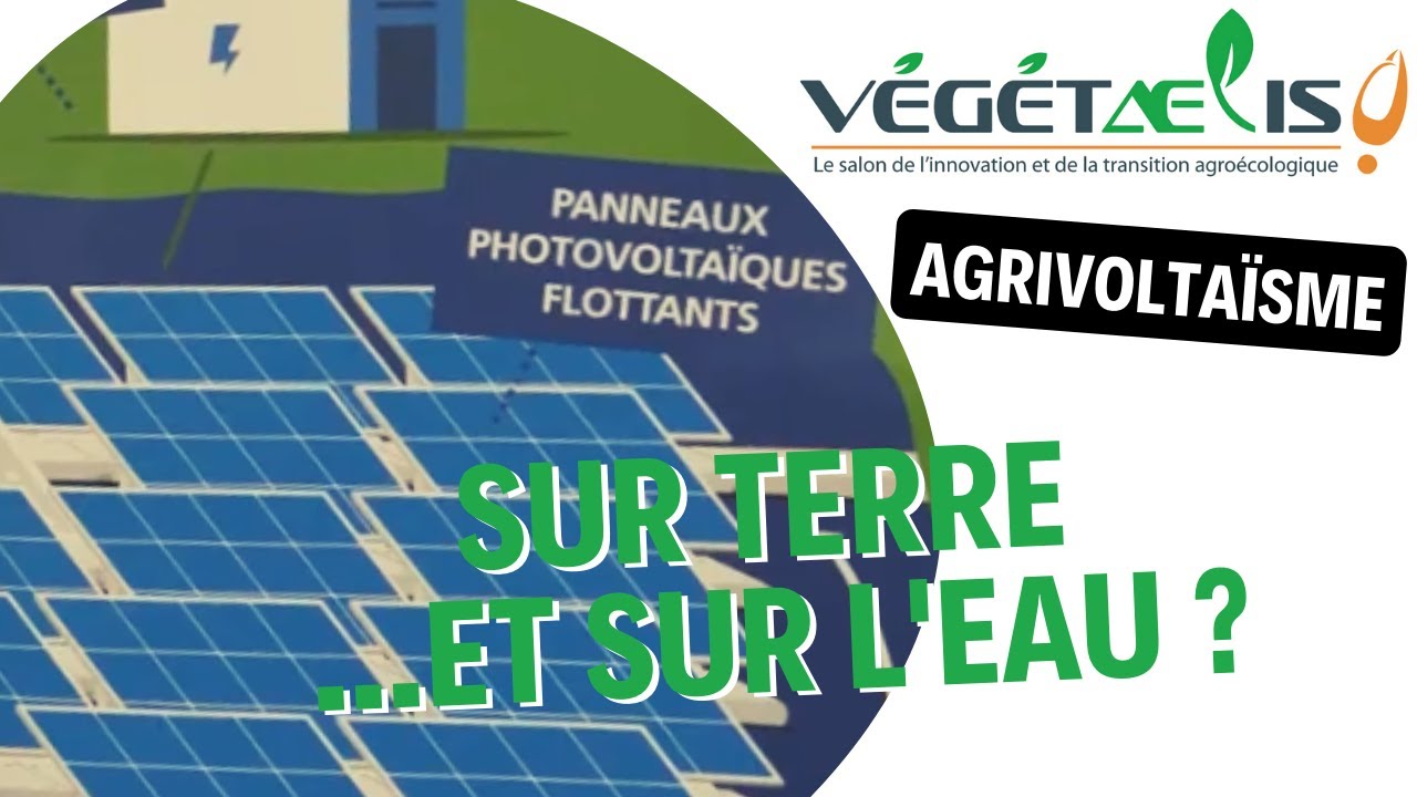 Végétaelis - Le photovoltaïque de demain avec EDF : sur terre et sur l’eau ?