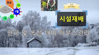 [농사정보(1월 중순)]  시설재배_폭설 및 한파 대비 비닐하우스 관리