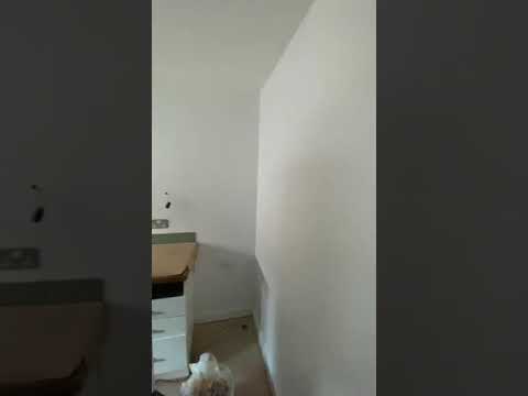 Morgan Ritchie Property Services video.