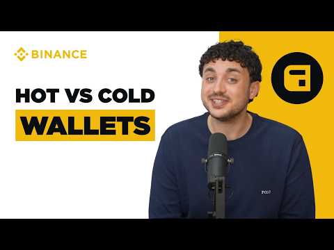 Hot vs Cold Wallets: What's Better to Store Crypto?
