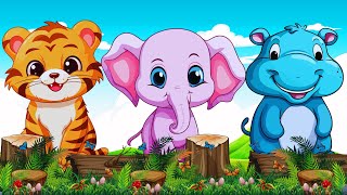 Download Lagu Lovely Animal Sounds Animal sounds around us Rhino, Baboon, Bat, Lion, Hippo, Alligator, Anteater Thumbnail