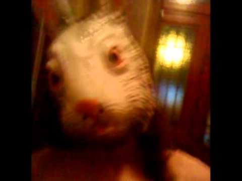 download lagu mp3 mp4 Bonsoir Monsieur, download lagu Bonsoir Monsieur gratis, unduh video klip Download Bonsoir Monsieur Mp3 dan Mp4 Unlimited Gratis