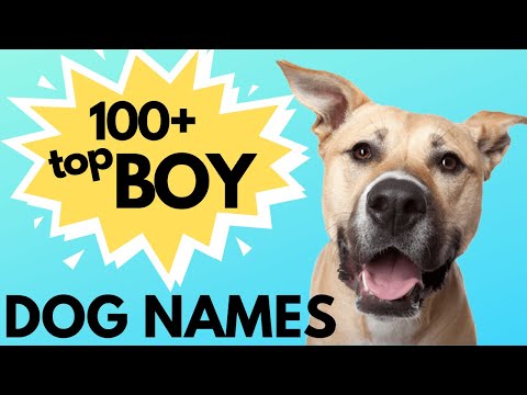 image-Is Darling a pet name?