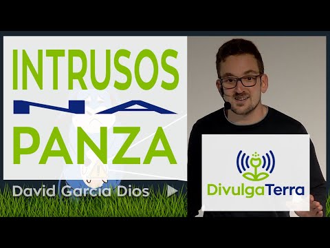 Vídeo: Intrusos na panza
