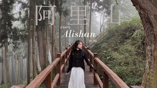 Alisan National Park 阿里山: Taiwan's Hidden Gem | Vlog
