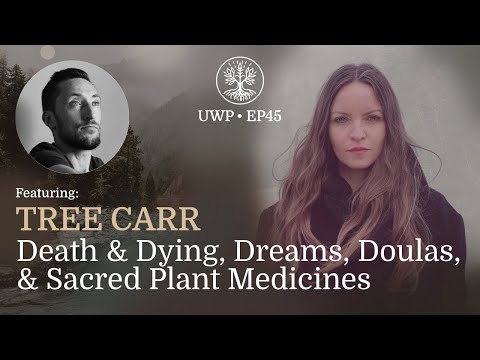 Universe Within Podcast Ep45 - Tree Carr - Death & Dying, Dreams, Doulas, & Sacred Plant Medicines