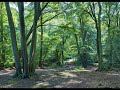 The Ash Grove - Old Welsh Air - Ukulele