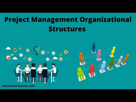 Project Management Organizational Structures