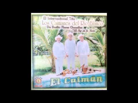 EL CAIMAN "Los Caimanes del Rio Blanco"