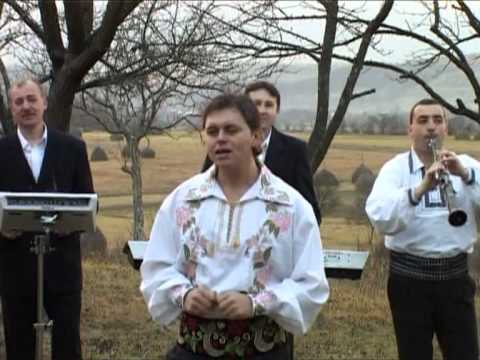 Puiu Codreanu - Cine pleacă prin străini