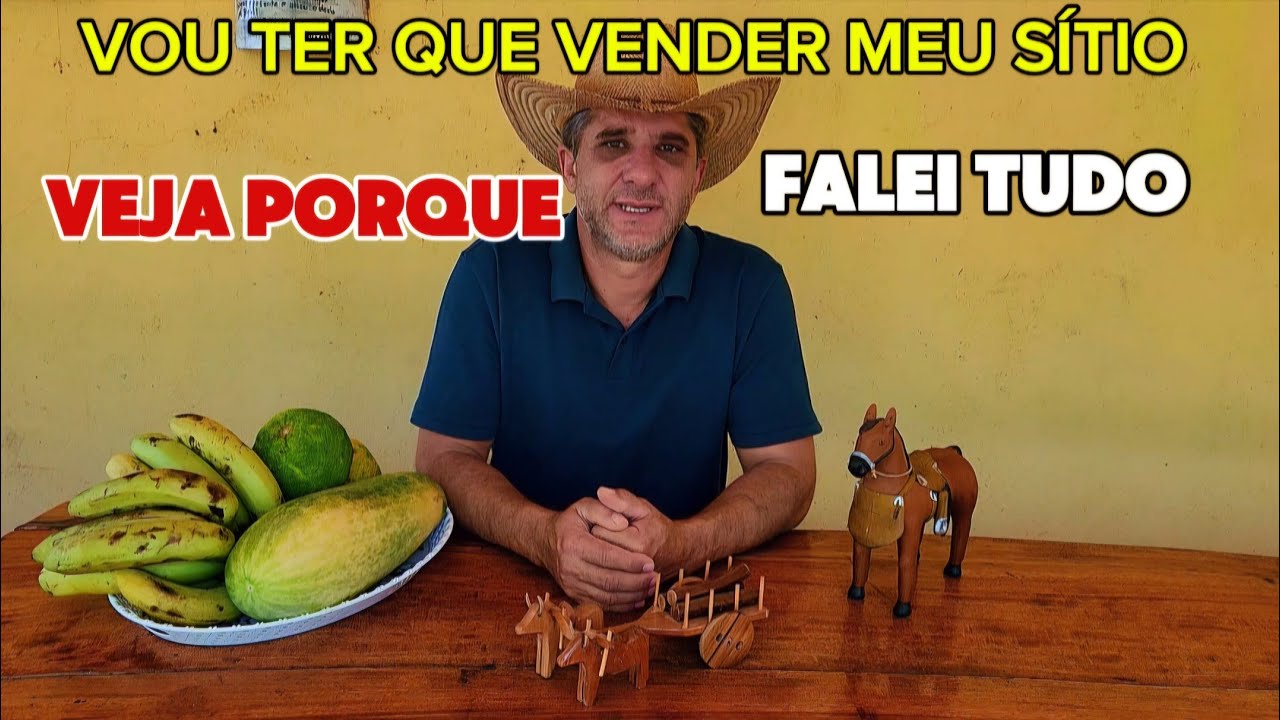 ESCLARECIMENTO. PORQUE VOU VENDER MEU SÍTIO.