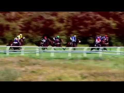 2014.09.27 Dansk Kriterium - China Sencha