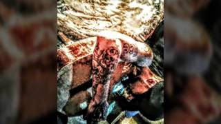 "NEED SOME SLEEP" KIDNAP FINLEY FEAT. CLOWDY YO