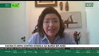 Miniatura do vídeo