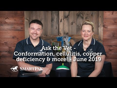 Ask the Vet - Conformation, cellulitis, copper deficiency and more! - June 2019 Video