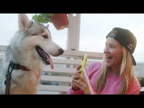 Barkly - AI Dog Translator