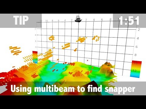 Using Multibeam to Find Snapper