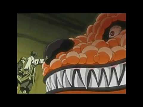 Taliban Zach - Living