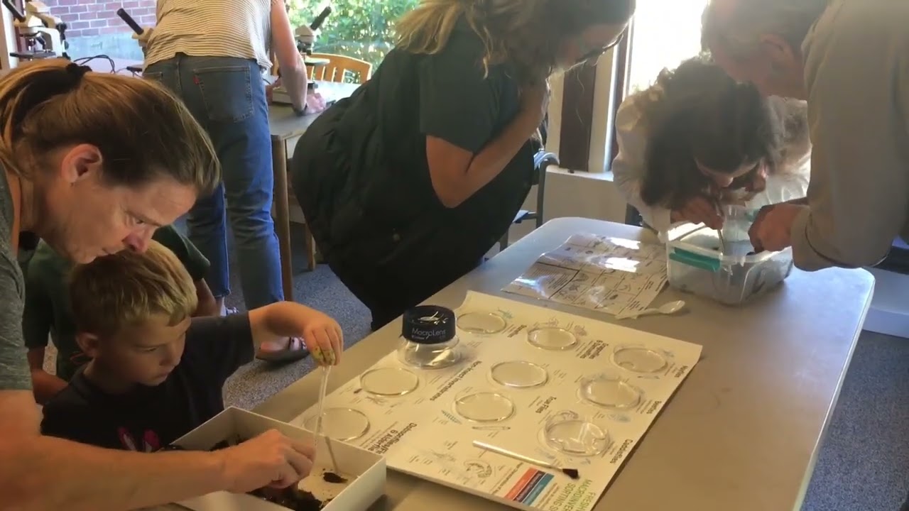 Homeschool program at the Museum and Library  Bugs of the Blackstone