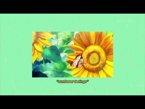 Kuzu Mellow - sunflower feelings 