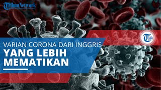 Covid-19 Varian Alpha, Varian dari Inggris dengan 30-70 Persen Lebih Mematikan dari Virus Awal