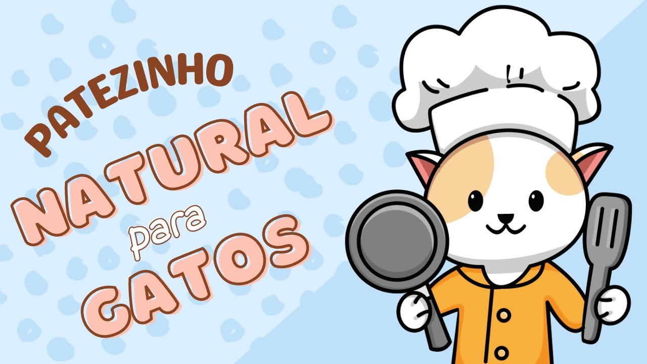 Patê natural - Receita caseira para seu gatinho