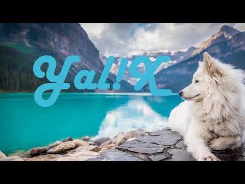 Yal!x: Best Collection. Beautiful Chill Mix