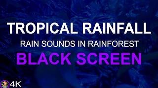 Fall Asleep, Soothing Rain Sounds in the Forest, Relaxing Rain No Thunder Black Screen For Sleeping