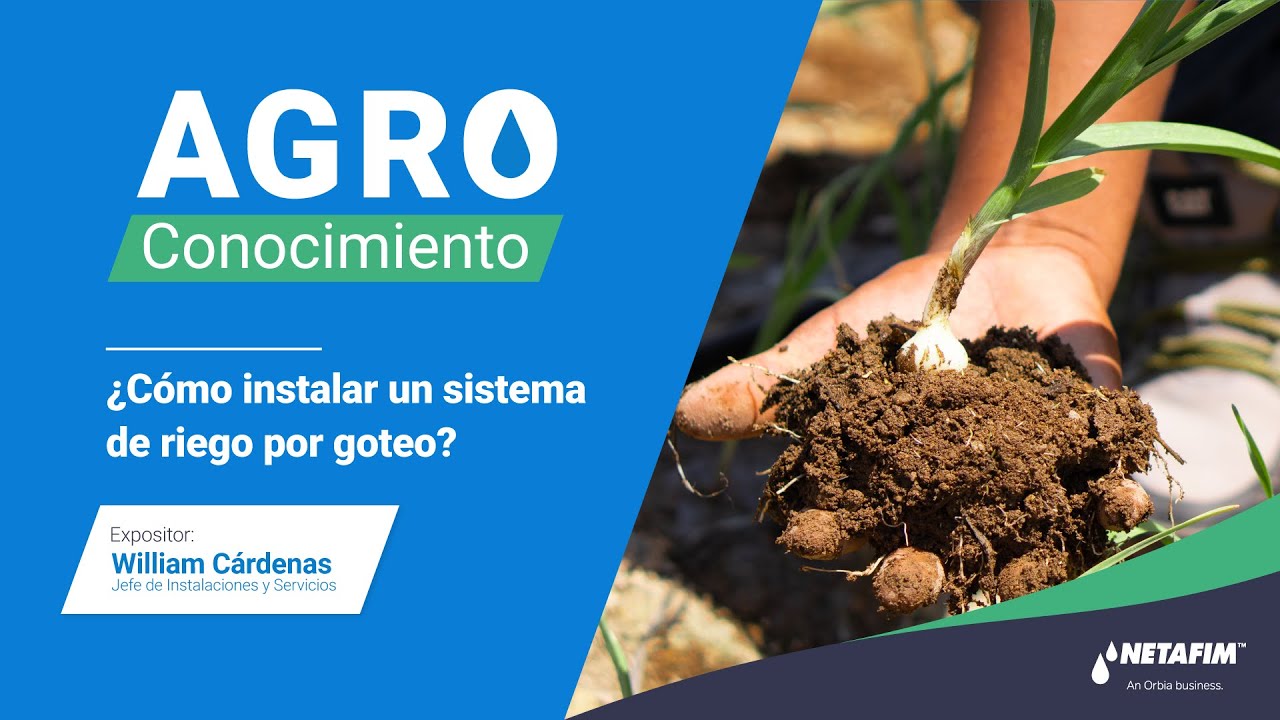 ¿Cómo instalar un sistema de riego por goteo?