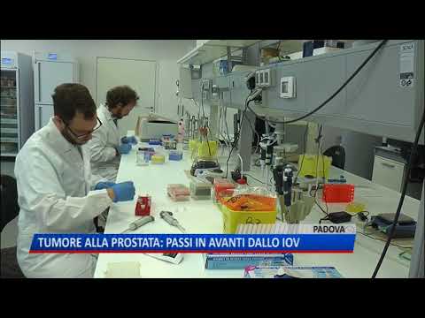La dimensione della prostata per gli uomini Come trovare uninfezione nella prostata