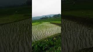 Download lagu shotr #shorts #status #statuswhatsapp mp3