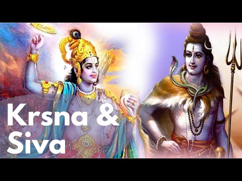 Unterschied und Beziehung zwischen Krishna und Shiva