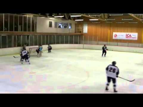 Lidingö Vikings A-laget, kvalserien till Div 1 - 2011