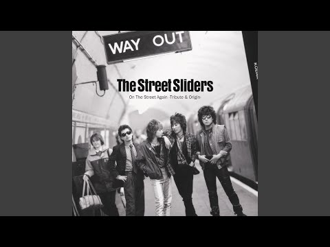 I can't even be a stray dog