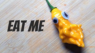 The SPICY Truth About Googly Eye Peppers Nobody Tells You
