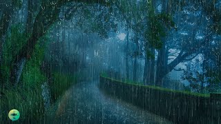 Sono Profundo 😴 Barulho de Chuva Relaxante e Trovão Distante à Noite ⛈ 3 Horas Chuva para Dormir