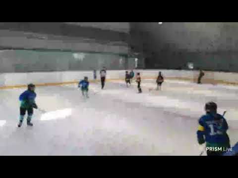 2021 02 27 U10 sárga Jégoroszlánok - VSD Párducok