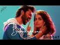Barbadiyan Shiddat Remix