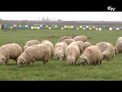 Tájkép 2015. január 12. – Erdélyi Magyar Televízió