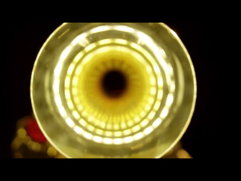 Sam And The Womp - Zeppelin (Official Video)