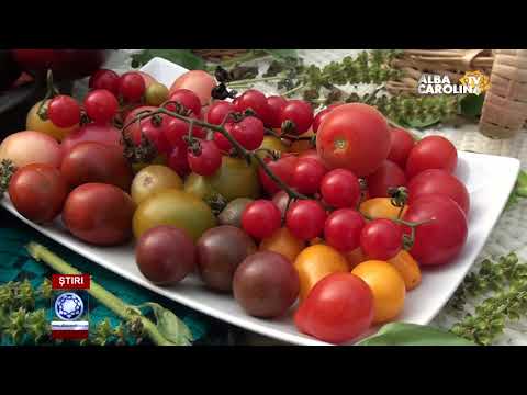 ROADELE TOAMNEI, LA TEIUȘ