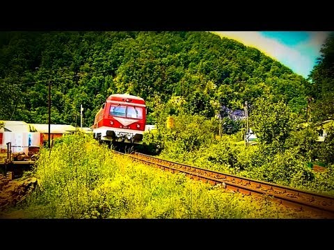 EGM621 & VT614 echoing through the Canyon of Crisul Repede, Bihor County (13 07 2013)
