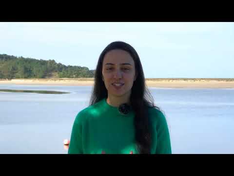 Vídeo: Mestúrase a auga doce e salgada na desembocadura do Anllóns?