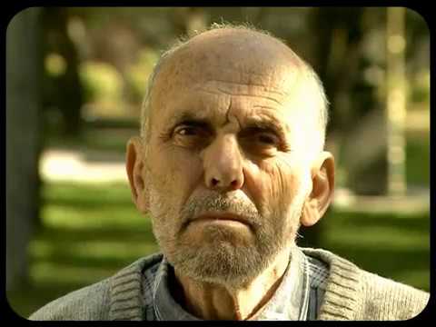 Визија • Vision