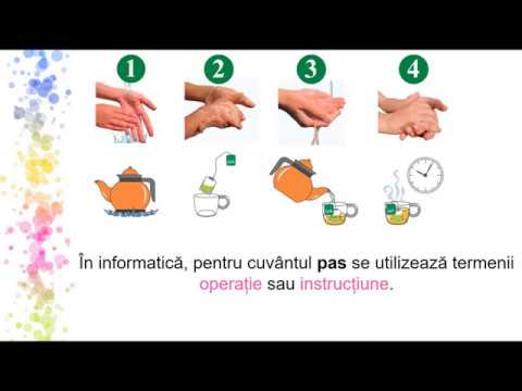 Algoritmi si expresii