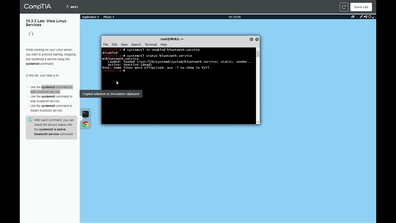 10.3.3 Lab View Linux Services
