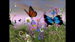 Dolly Parton - Love Is Like A Butterfly