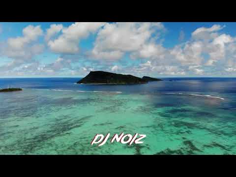 DJ Noiz - Shake It to the Moce ft. Moliy, Kabani