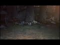 The Wild Thornberrys Movie Part 9 Finale End Credits