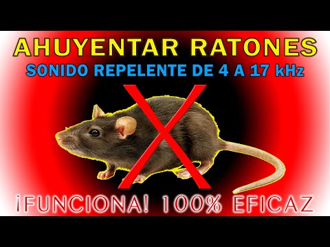 🚫🐭 SOUND TO REVERSE MICE